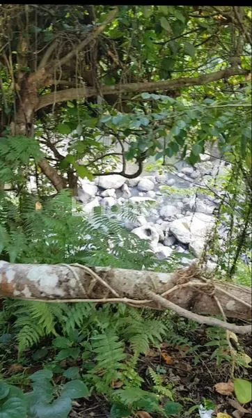 image JUAL TANAH PANDAK BADUNG, TABANAN, AKSES JALANAN ARAH MENUJU TANAH LOT (4)