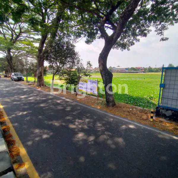 TANAH PEKARANGAN LUAS MANGKU JALAN RINGROAD SELATAN