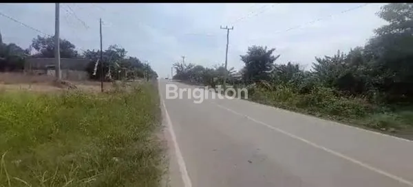 image JUAL TANAH DI JL LINTAS SUMATERA, PALEMBANG - JAMBI (1)