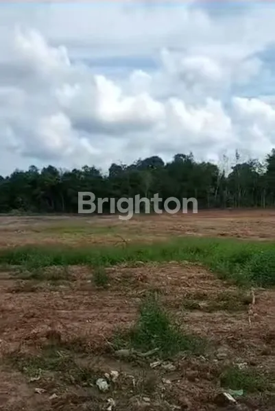 image JUAL TANAH DI JL LINTAS SUMATERA, PALEMBANG - JAMBI (7)