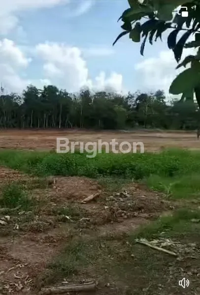 image JUAL TANAH DI JL LINTAS SUMATERA, PALEMBANG - JAMBI (8)