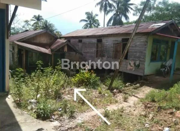 image TANAH STRATEGIS DI JALAN POROS GUNUNG TEMBAK TERITIP (2)