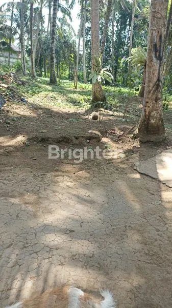 image TANAH VIEW SUNGAI COCOK UNTUK HOTEL ATAU VILLA (2)