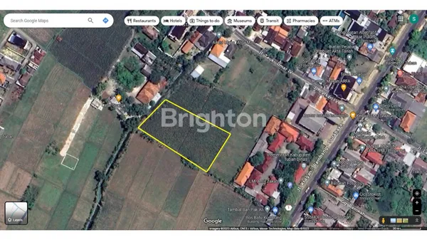 image TANAH DIJUAL LATSARI KAB TUBAN (1)