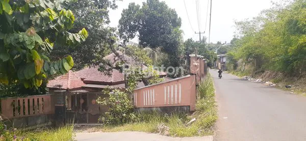 image RUMAH + TANAH ASRI, NYAMAN, COCOK UNTUK VILLA (2)