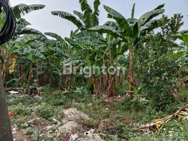 image TANAH SANGAT STRATEGIS PINGGIR JALAN RAYA DI PARUNG BOGOR (2)