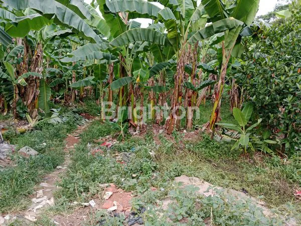 image TANAH SANGAT STRATEGIS PINGGIR JALAN RAYA DI PARUNG BOGOR (3)