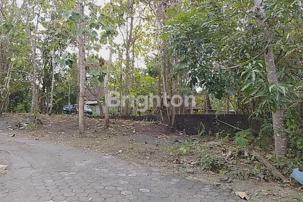 TANAH BANGUNJIWO DEKAT COKLAT MONGGO