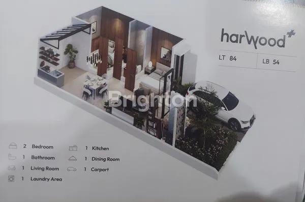 image THE OZ HARWOOD+ (2)