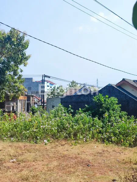 image TANAH KAVLING MURAH BUSUKAN WONOREJO GONDANGREJO KARANGANYAR (2)