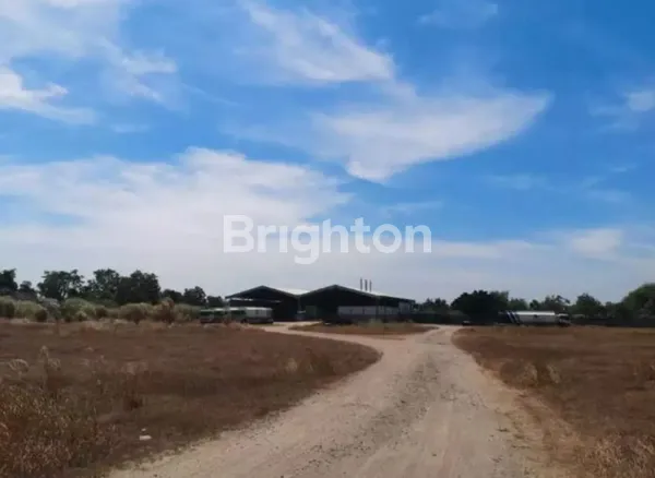 image TANAH DI KRIAN HANYA 5 MENIT DARI PUSAT KOTA KRIAN (3)