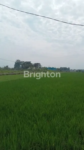 image TANAH/ KAVLING MOJOKERTO, DEKAT BYPASS SIAP BANGUN COCOK UNTUK GUDANG, PABRIK (1)