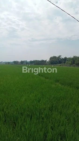 image TANAH/ KAVLING MOJOKERTO, DEKAT BYPASS SIAP BANGUN COCOK UNTUK GUDANG, PABRIK (2)