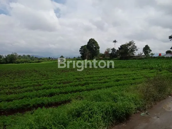 TANAH KABANJAHE, BERASTAGI, SIMALUNGUN