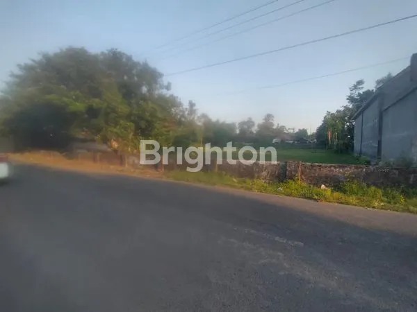 TANAH STRATEGIS NOL JALAN RAYA TULUNGAGUNG
