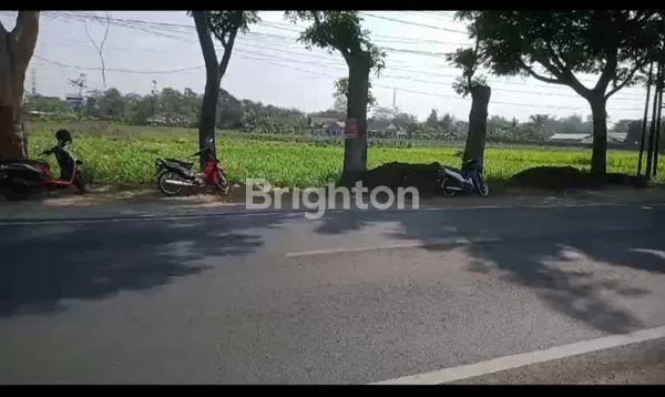 image TANAH STRATEGIS BENTUK KOTAK NOL JALAN RAYA BLITAR (3)