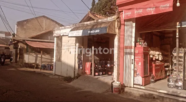 image SAYAP PASTEUR, COCOK UNTUK INVESTASI JANGKA PANJANG (2)