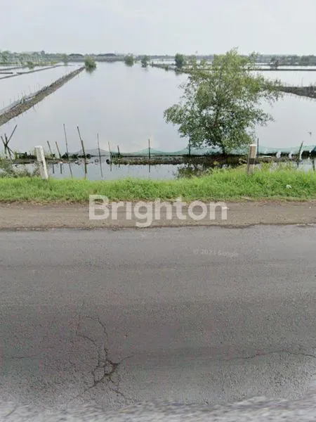 image KENDAL TANAH ZONA INDUSTRI STRATEGIS JALAN PANTURA LINGKAR KALIWUNGU (2)