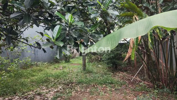 image TANAH DI SUKASARI 3 (2)