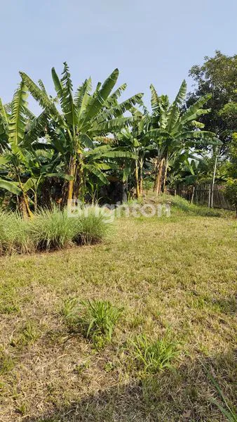 image JUAL CEPAT TANAH KAVLING DI CIMAHPAR BOGOR  (5)