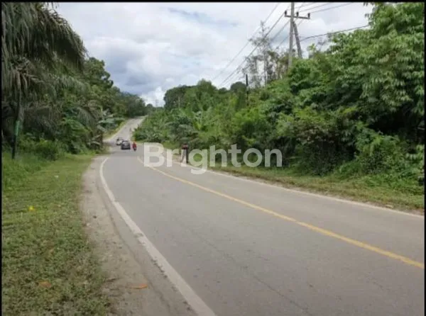 image TANAH PINGGIR JALAN BESAR POROS SAMARINDA - BONTANG. SURAT SHM PERUMAHAN. SANGAT COCOK DI BANGUN PERUMAHAN DAN RUKO. UNTUK INVESTASI YANG SANGAT MENGUNTUNGKAN. (2)
