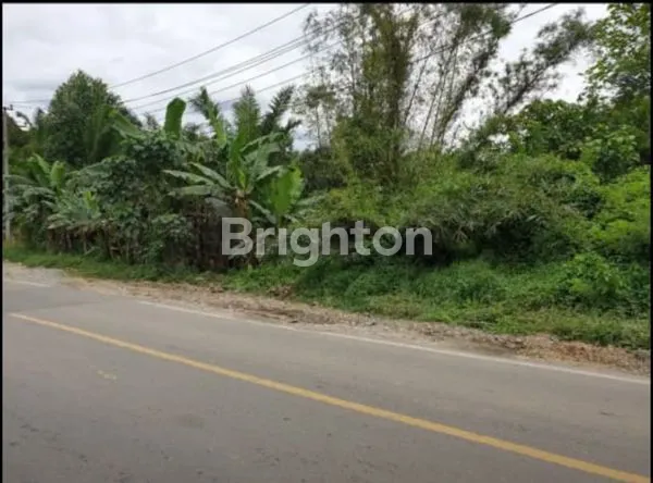 image TANAH PINGGIR JALAN BESAR POROS SAMARINDA - BONTANG. SURAT SHM PERUMAHAN. SANGAT COCOK DI BANGUN PERUMAHAN DAN RUKO. UNTUK INVESTASI YANG SANGAT MENGUNTUNGKAN. (3)