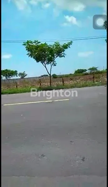 image DIJUAL TANAH INDUSTRI ZONA 3 INDUSTRI TUBAN (4)