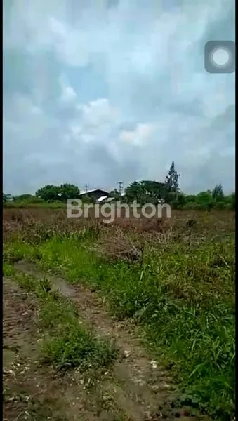 image DIJUAL TANAH INDUSTRI ZONA 3 INDUSTRI TUBAN (5)