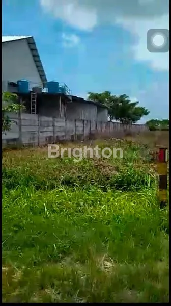 image DIJUAL TANAH INDUSTRI ZONA 3 INDUSTRI TUBAN (6)