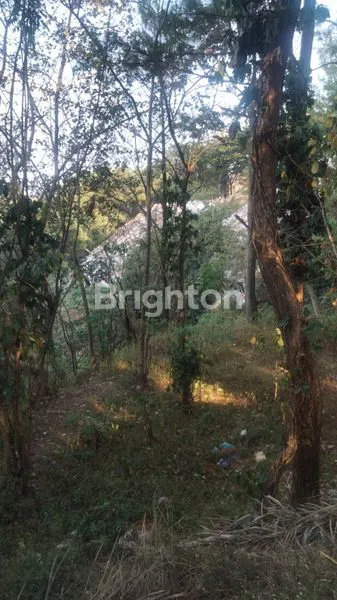 image TANAH MURAH DI WISATA LEMBAH DIENG MALANG (2)