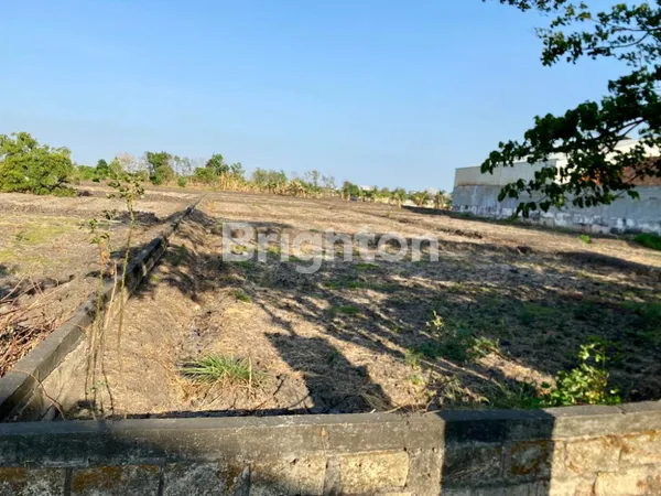 image TANAH NOL JALAN RAYA DOMAS MENGANTI (1)