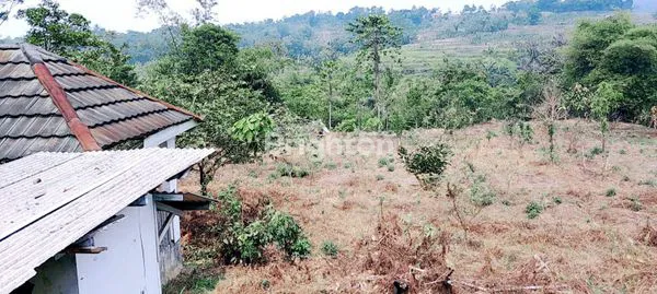 TANAH DEKAT TERMINAL LEUWILIANG