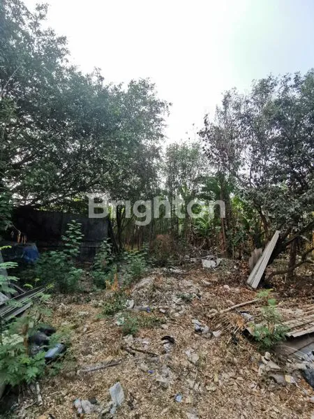 image TANAH KAPUK KAMAL LAMA MUARA PENJARINGAN PUSAT GUDANG INDUSTRI 1 HA / 10000M2 PINGGIR TOL NEGO (7)