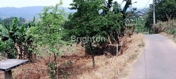 TANAH DATAR PINGGIR JALAN