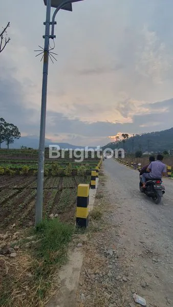 image TANAH NOL JALAN RAYA DI KAWASAN WISATA BUNGA KOTA BATU (ADA SUMBER AIR HANGATNYA) (1)