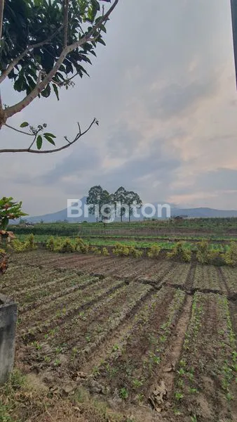 image TANAH NOL JALAN RAYA DI KAWASAN WISATA BUNGA KOTA BATU (ADA SUMBER AIR HANGATNYA) (4)