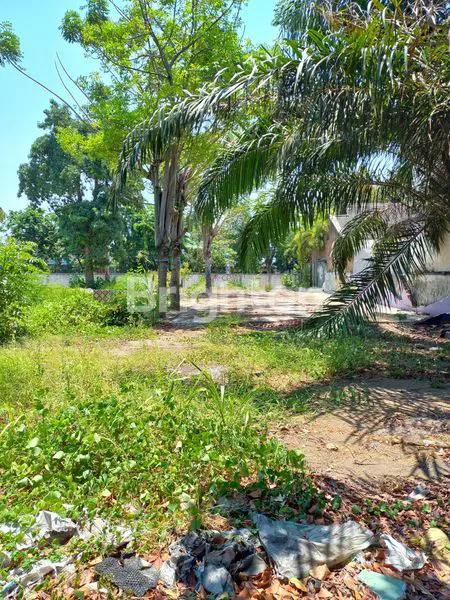 image DISEWAKAN TANAH SIAP BANGUN LOKASI RUNGKUT SELANGAKAH RAYA MERR, DEKAT PABRIK, PASAR TRADISIONAL (1)