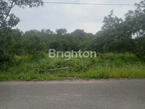 image MURAH BANGET TANAH AREA SUKADANA KALIMANTAN (1)