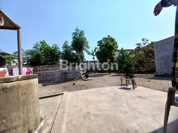 image RUMAH STRATEGIS DEKAT KAMPUS DI TULUNGAGUNG (7)