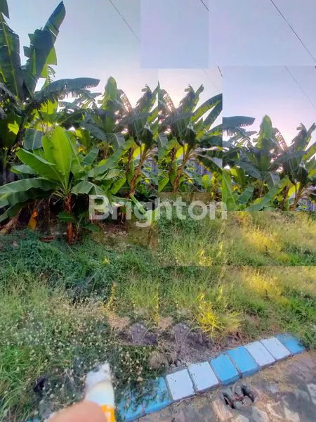 image TANAH SIAP BANGUN KAHURIPAN NIRWANA DEKAT EXIT TOL (1)