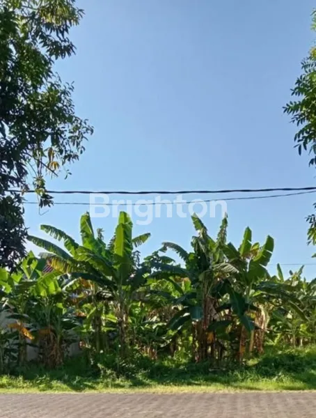Gambar Property TANAH DI GAYUNGSARI KOMPLEKS AD, POSISI TUSUK SATE, NEGO SAMPAI DEAL