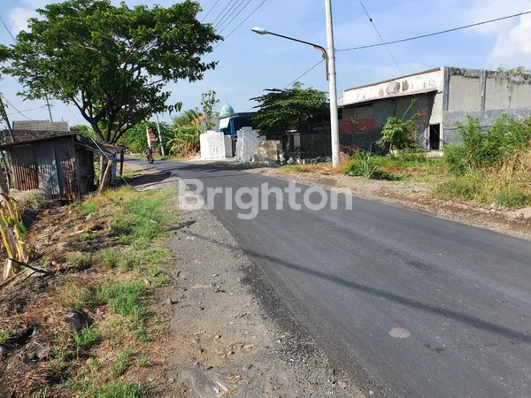 image JARANG ADA !! TANAH NOL JALAN RAYA DRIYOREJO GRESIK (3)