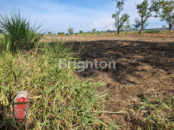 image JARANG ADA !! TANAH NOL JALAN RAYA DRIYOREJO GRESIK (4)