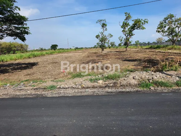 image JARANG ADA !! TANAH NOL JALAN RAYA DRIYOREJO GRESIK (1)