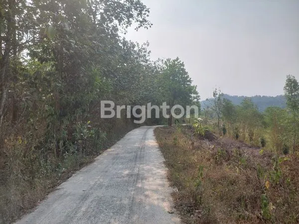 image TANAH LAHAN LUAS DAN MURAH (1)