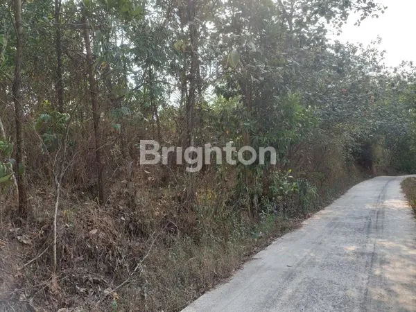 image TANAH LAHAN LUAS DAN MURAH (3)