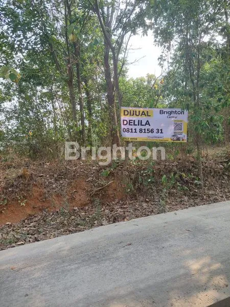 image TANAH LAHAN LUAS DAN MURAH (4)