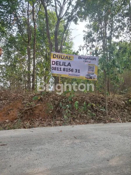 image TANAH LAHAN LUAS DAN MURAH (5)