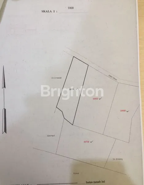 image TANAH LAHAN LUAS DAN MURAH (7)