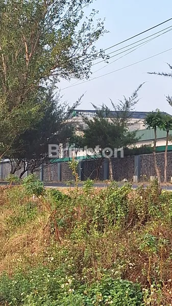 TANAH PLOT INDUSTRI MOJOKERTO 500 METER DARI JALAN PROVINSI